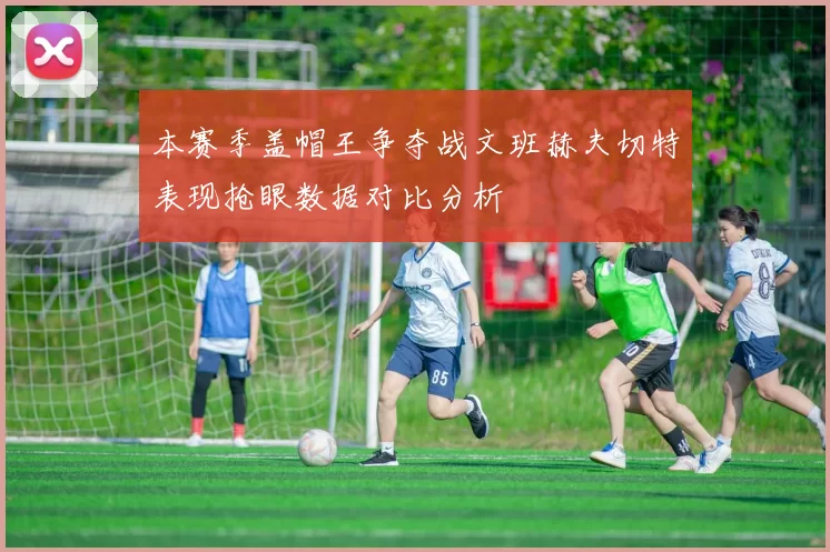 本赛季盖帽王争夺战文班赫夫切特表现抢眼数据对比分析