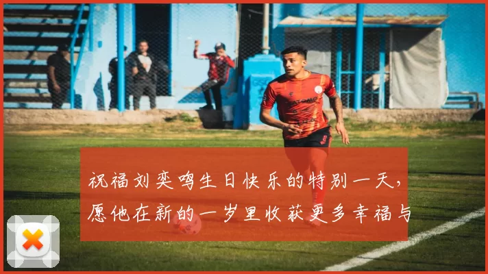 祝福刘奕鸣生日快乐的特别一天，愿他在新的一岁里收获更多幸福与成功