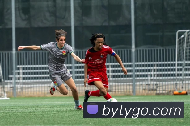 博鱼体育平台生态图