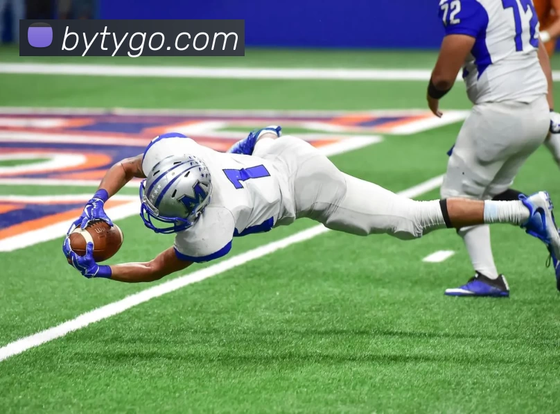 博鱼体育APP 封面图